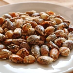 Cancha (Peruvian fried corn)